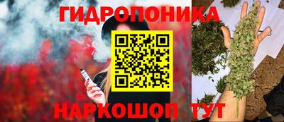 ешки Кизилюрт