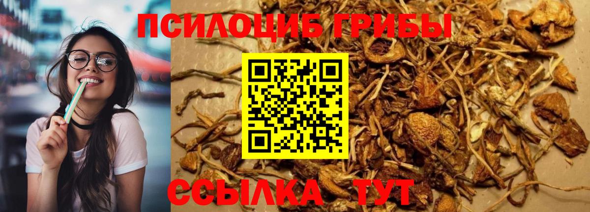 Бошки Шишки Альметьевск