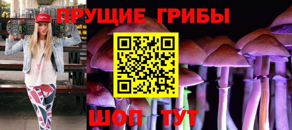 Альметьевск  Псилоцибиновые грибы Psilocybine cubensis  Вход с VPN 